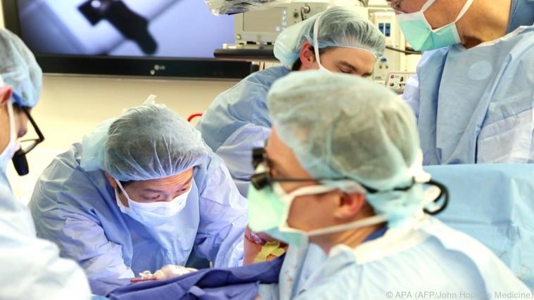 Bedarf an Organen steigt Foto: APA (AFP/John Hopkins Medicine)