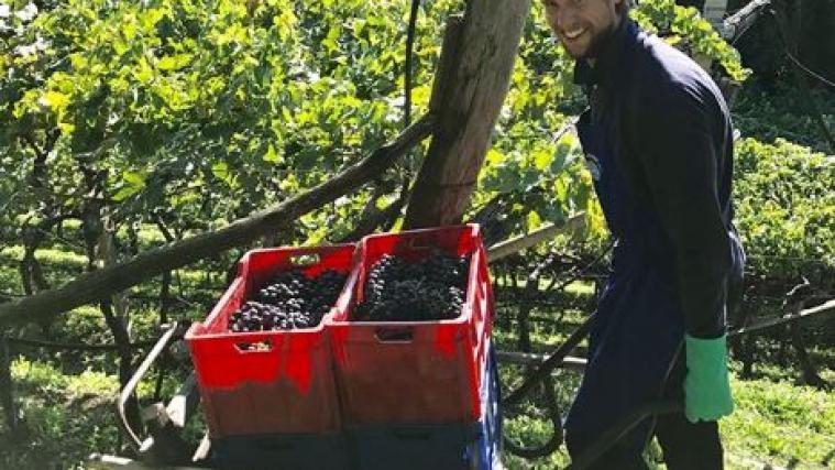 Andreas Seppi packte ordentlich an (Fotos Instagram)