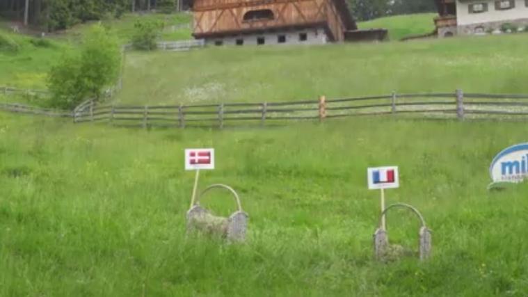 Zenzi tippt Dänemark gegen Frankreich.