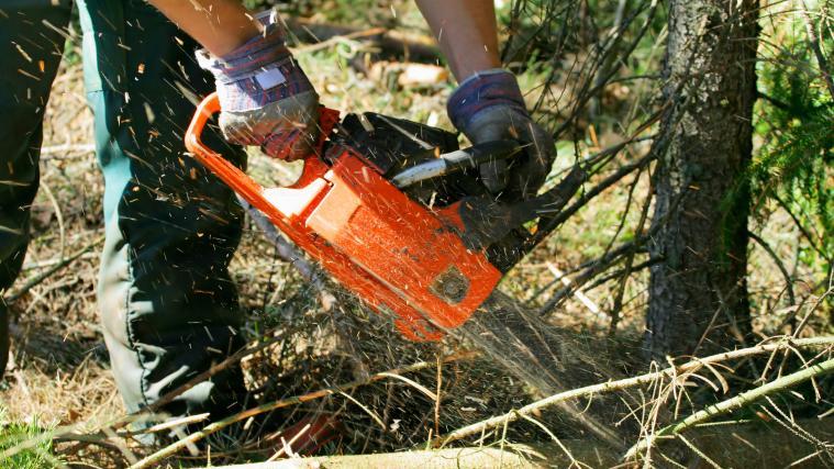 Der 72-jährige Oberösterreicher hat sich bei Waldarbeiten tödliche Verletzungen zugezogen.