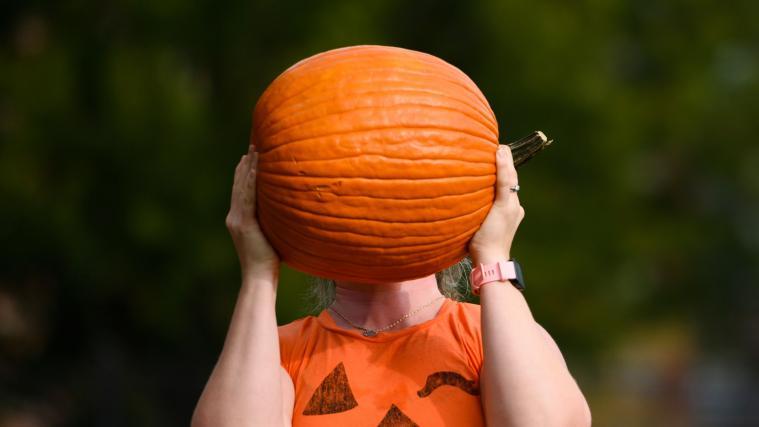 Der Kürbis darf zu Halloween nicht fehlen.