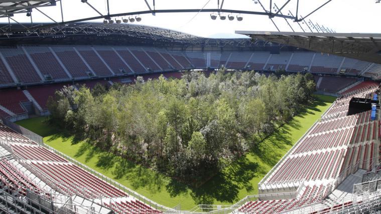 Die Bäume im Stadion genossen fast durchgehend gutes Wetter.