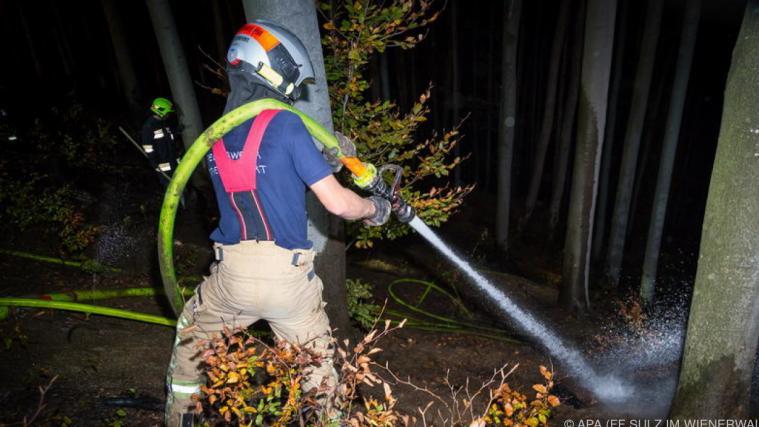 Die Feuerwehren wurden nach einem Funkspruch eines AUA-Piloten alarmiert.