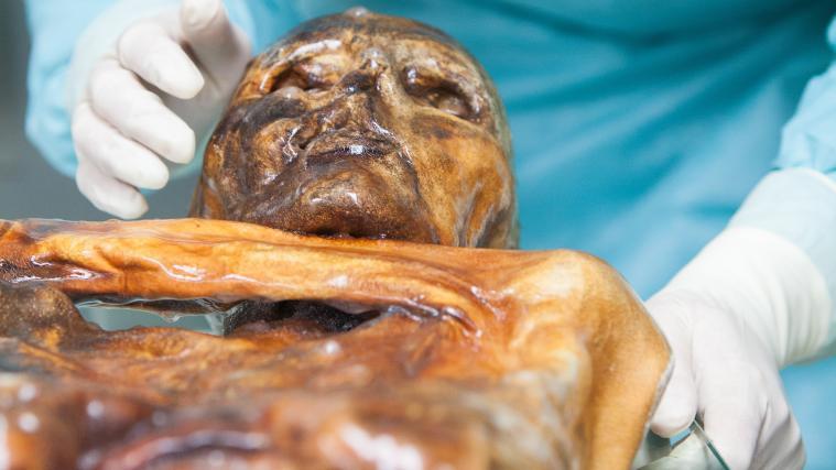 Die letzte Reiseroute von „Ötzi“ wird immer klarer.
