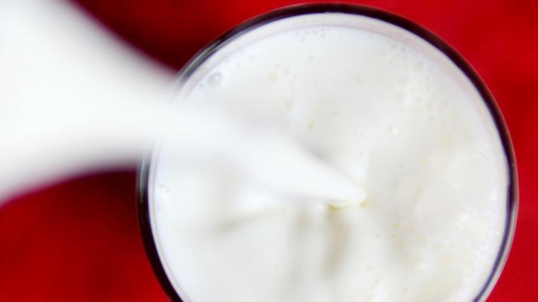 Die Milchwirtschaft steht vor großen Herausforderungen.