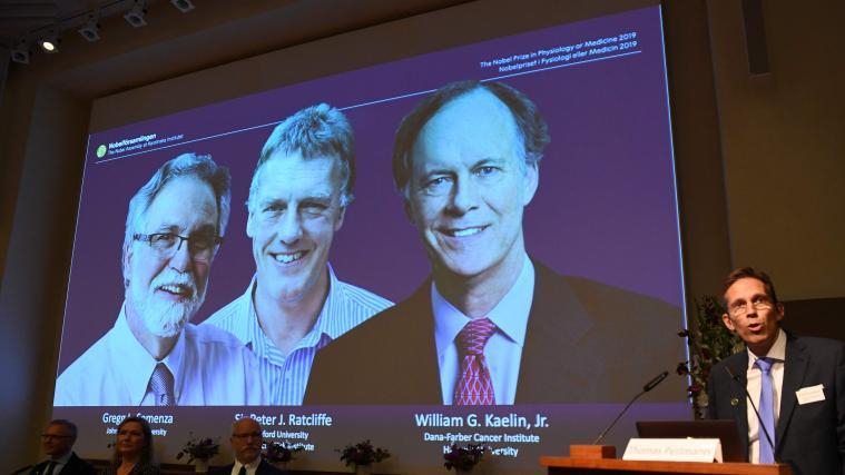 Gregg Semanza, Peter Ratcliffe und William Kaelin erhalten den Medizin-Nobelpreis.