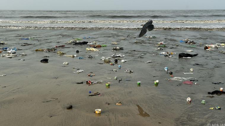 In den Meeren wird immer mehr Plastikmüll gefunden.