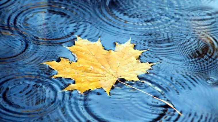 In den nächsten Tagen dominiert das trübe Herbstwetter.
