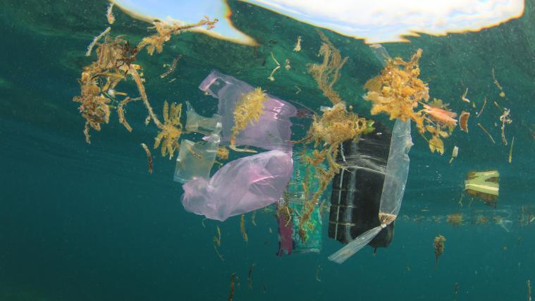 Mit einer neuen Abfangvorrichtung soll Plastikmüller aus dem Meer geholt werden.