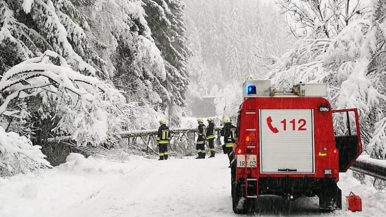 Auch in Welschnofen wurde eine Straße aufgrund eines umgestürzten Baumes verlegt.