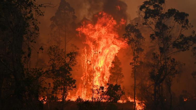 Die Buschbrände in Australien haben bislang mindestens 3 Tote gefordert.