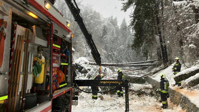 Die Freiwillige Feuerwehr Stegen stand im Dauereinsatz.