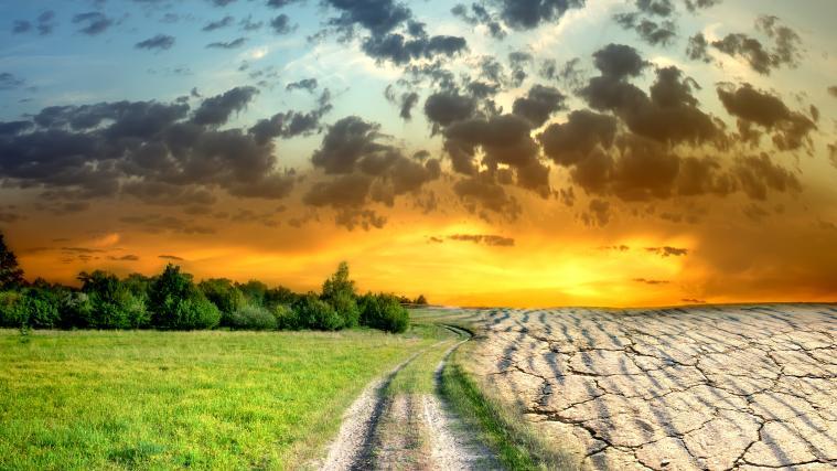 Einer britischen Studie zufolge kostet der Klimawandel der Weltwirtschaft bis 2050 8 Billionen Dollar.