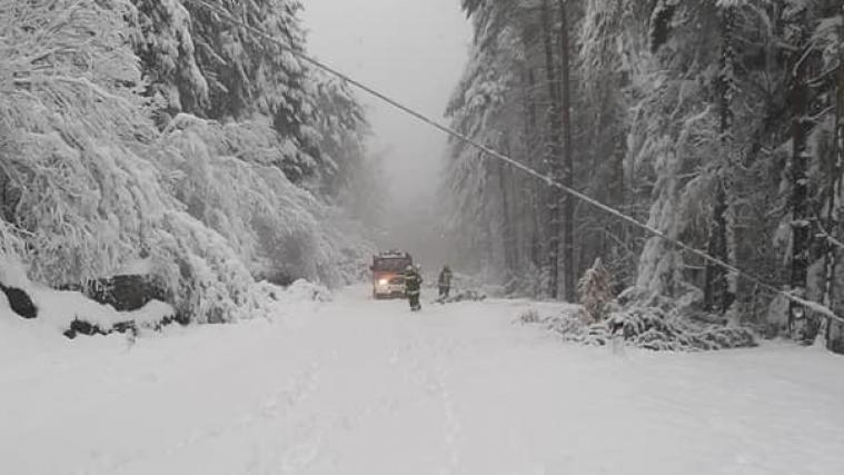 Ergiebige Schneemengen halten Südtirols Wehren auf Trab.