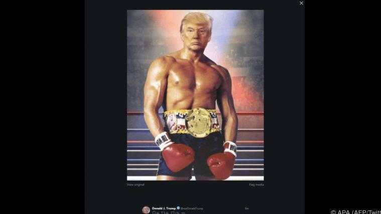 Es war nicht klar, was Trump zur Verbreitung des Bildes bewogen hatte.