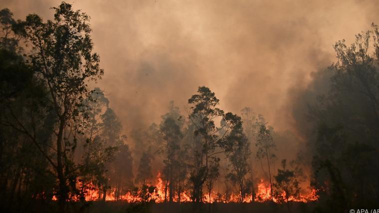 In Australien herrscht Ausnahmezustand.