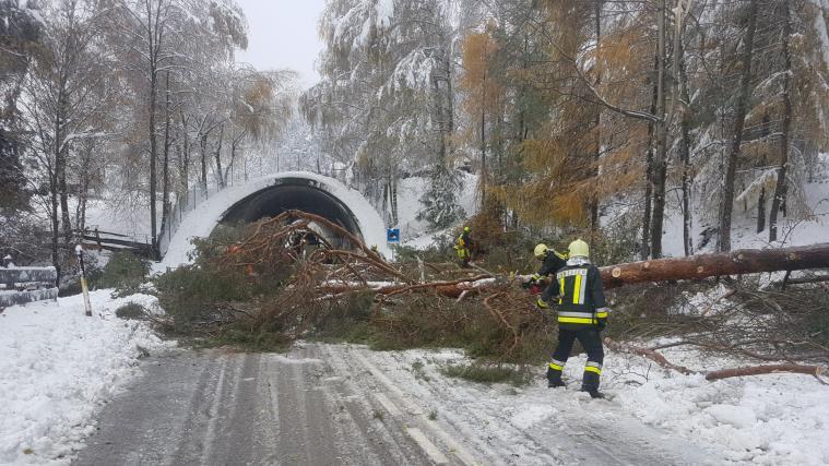 Zahlreiche umstürzende Bäume versperrten Straßen im Gemeindegebiet Jenesien.