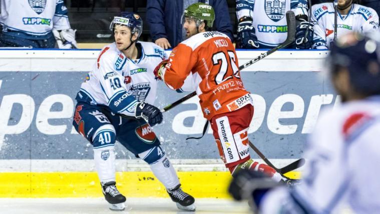 Angelo Miceli & Co. wollen gegen Fehervar zurück in die Spur finden.