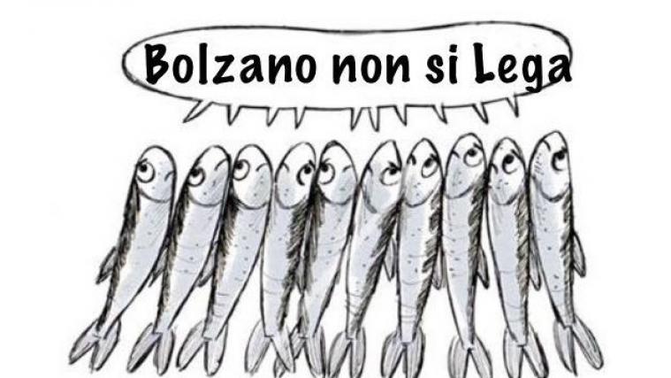 Bereits 1600 Personen haben die Facebook-Seite der Sardine Bozen schon geliked.