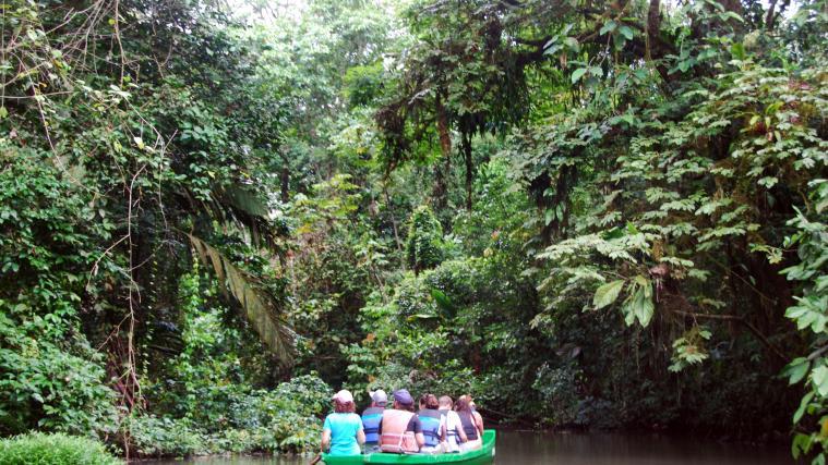 Die Abholzung des Amazonas-Regenwaldes in Brasilien hat sich neuen Satellitendaten zufolge mehr als verdoppelt.