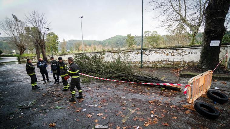 In Neapel wurde ein Mann von einem Baum getroffen und getötet.