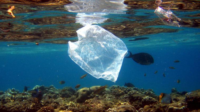 Plastik verdreckt viele Meere. Ausgerechnet bei einer Fisch-Großhandelskette hat die italienische Polizei Millionen nicht abbaubare Plastiktüten entdeckt.