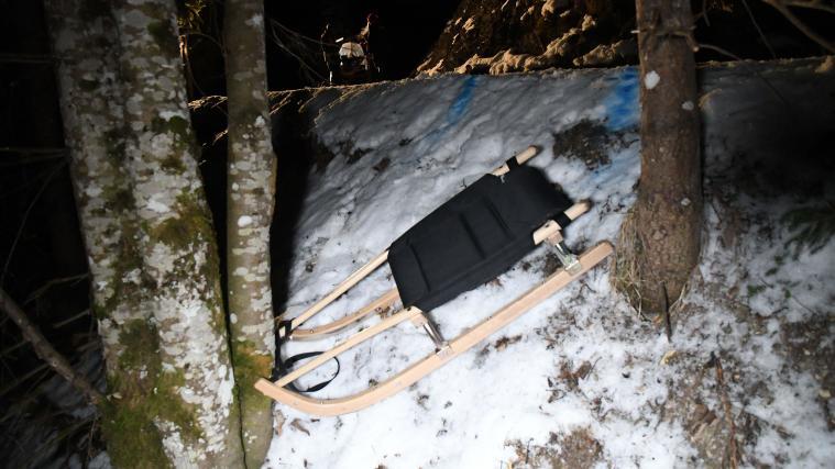Der Mann prallte mit seiner Rodel gegen einen Baum. Jede Hilfe kam zu spät.