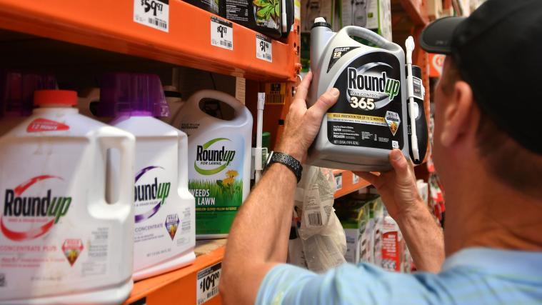 Die ersten drei US-Prozesse wegen angeblich krebserregender Unkrautvernichtungsmittel von Monsanto hatte Bayer verloren und hohe Schadenersatz-Urteile kassiert.