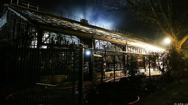 Dramatische Szenen nach Affenhausbrand in der Silvesternacht.