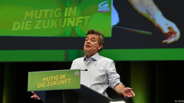 Grünen-Chef Werner Kogler leistete erfolgreiche Überzeugungsarbeit.