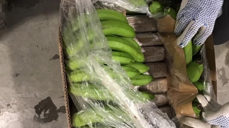 Unter Bananen versteckt wurden in einem niederländischen Hafen über 900 Kilo Kokain aus Ecuador entdeckt.
