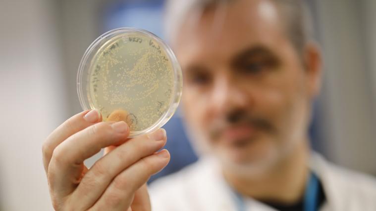 Das neue Coronavirus hat nun einen eigenen Namen: Sars-CoV-2.