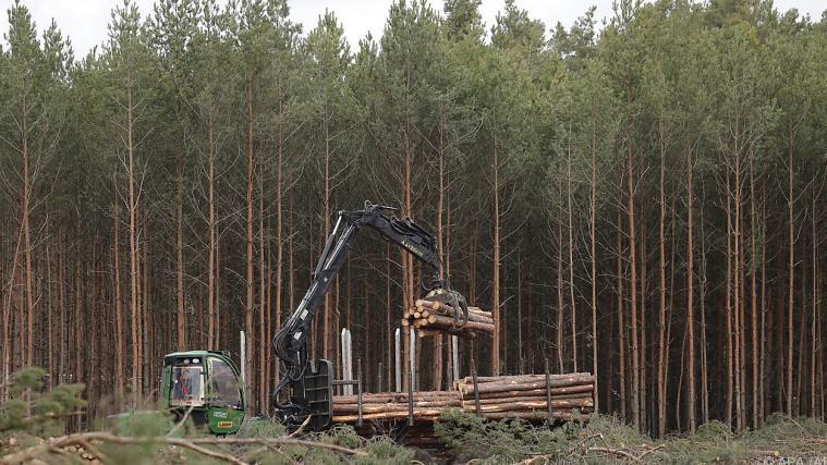 Eilanträge der Umweltschützer wurden abgewiesen.