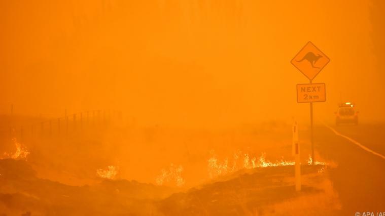 Heftige Buschfeuer rund um Canberra.