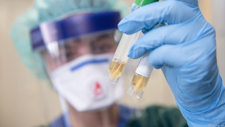 In Sachen Coronavirus wollen die G7 an einem Strang ziehen.
