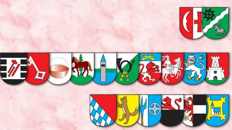Insgesamt 18 Frauen wollen bei den diesjährigen Gemeinderatswahlen ins Rathaus einziehen.