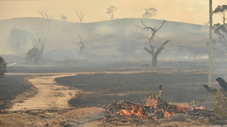 Noch immer wüten Buschfeuer in Australien.