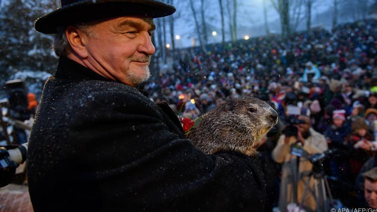 Punxsutawney Phil nimmt die Aufregung gelassen hin.