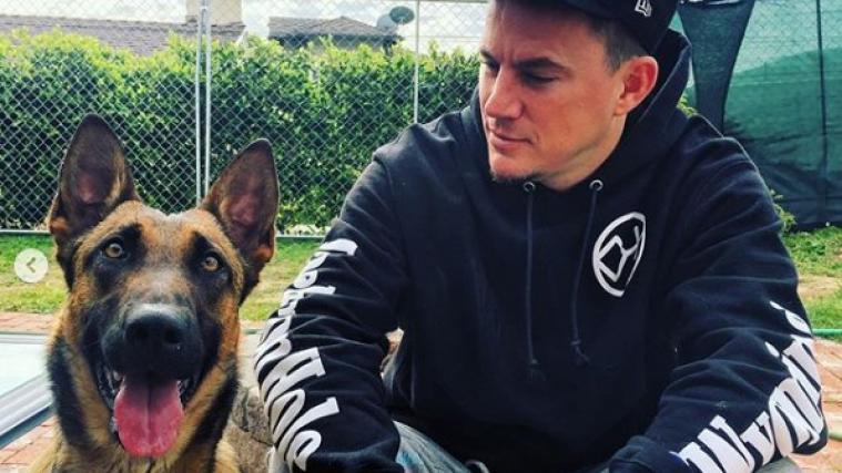 Channing Tatum widmet seinen nächsten Film seiner an Krebs verendeten Hündin Lulu.