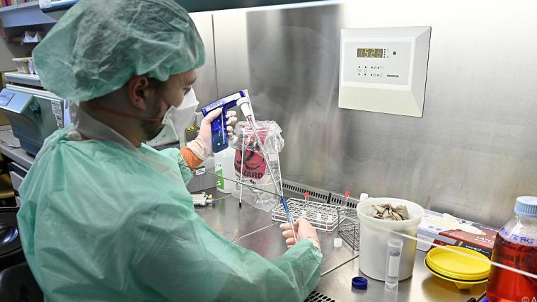 Der Coronavirus breitet sich rasch aus.