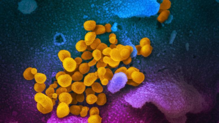 Der Coronavirus hat nun auch Afrika erfasst.