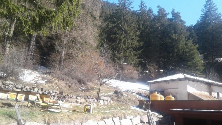 Im Bild links unten sieht man die geplünderten Bienenstöcke in unmittelbarer Nähe des Nasa-Hofs in San Lugano.