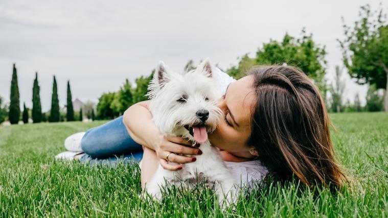 Vom Hund gehe, laut dem Immunologen Dr. Gänsbacher, keine Gefahr für den Menschen aus.