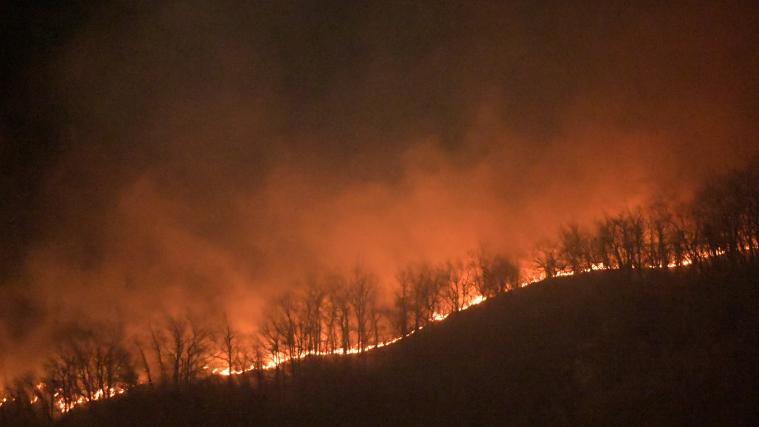 Am Samstag hatten die Behörden noch von „Schwierigkeiten“ bei der Feuerbekämpfung wegen der erhöhten Radioaktivität in einigen Gebieten gesprochen. (Schmuckbild)