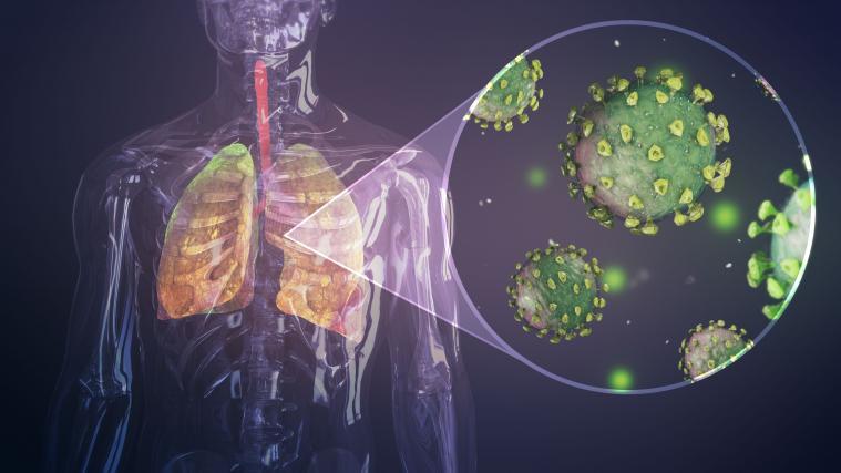 Das Coronavirus stellt die Wissenschaft vor große Herausforderungen.