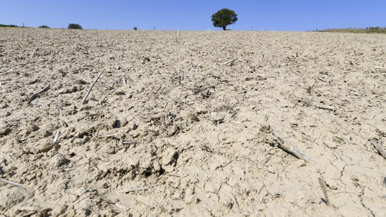 Der März 2020 war einer der wärmsten seit Beginn der Temperaturaufzeichnungen.