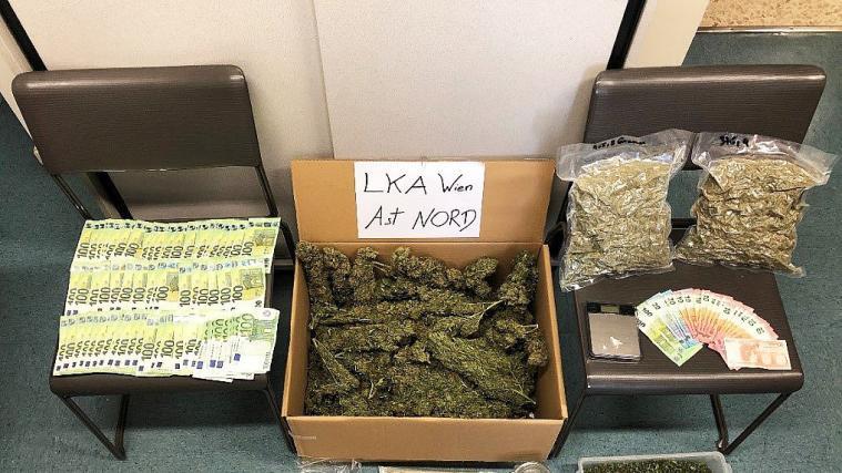 Für den Anbau von und den Handel mit Cannabis hatten sich die beiden Männer ein eigenes Haus gemietet.