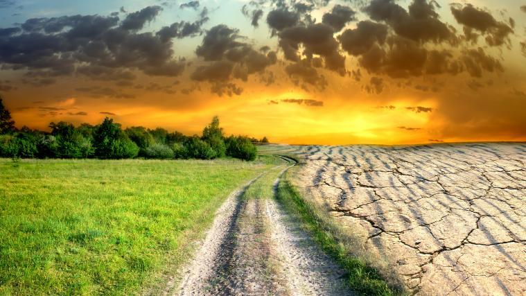 Jeder kann einen Beitrag zum Klimaschutz leisten.