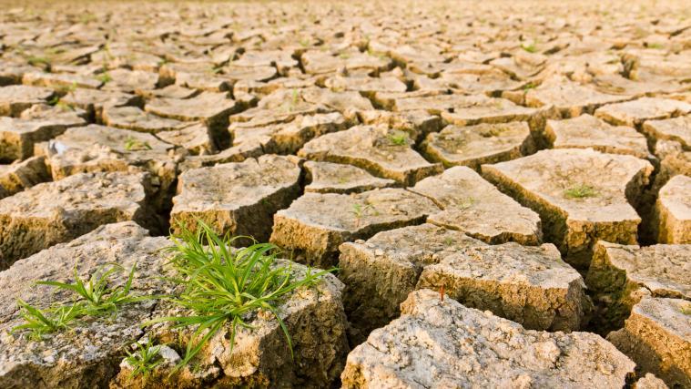 WMO-Experte Lars Peter Riishojgaard glaubt nicht, dass die Corona-Pandemie zu einem Umdenken in Sachen Klimaschutz führen kann.