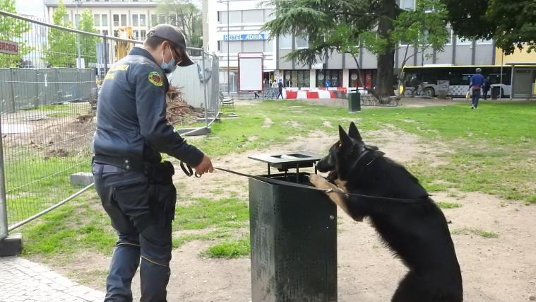 Auch ein Drogen-Spürhund stand im Einsatz.